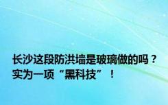 长沙这段防洪墙是玻璃做的吗？实为一项“黑科技”！