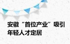 安徽“首位产业”吸引年轻人才定居