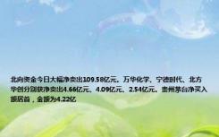 北向资金今日大幅净卖出109.58亿元。万华化学、宁德时代、北方华创分别获净卖出4.66亿元、4.09亿元、2.54亿元。贵州茅台净买入额居首，金额为4.22亿