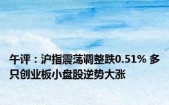 午评：沪指震荡调整跌0.51% 多只创业板小盘股逆势大涨