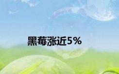 黑莓涨近5%