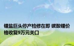 锂盐巨头停产检修在即 碳酸锂价格收复9万元关口