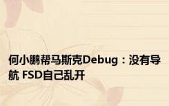 何小鹏帮马斯克Debug：没有导航 FSD自己乱开