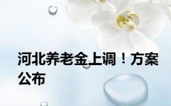 河北养老金上调！方案公布