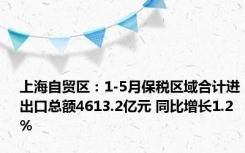 上海自贸区：1-5月保税区域合计进出口总额4613.2亿元 同比增长1.2%