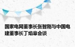 国家电网董事长张智刚与中国电建董事长丁焰章会谈