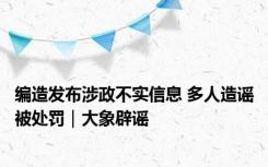 编造发布涉政不实信息 多人造谣被处罚｜大象辟谣