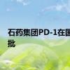 石药集团PD-1在国内获批