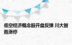 低空经济概念股开盘反弹 川大智胜涨停