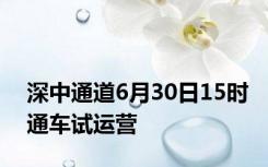 深中通道6月30日15时通车试运营