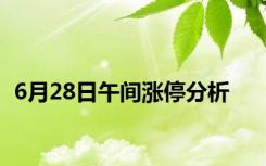 6月28日午间涨停分析