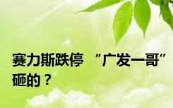 赛力斯跌停 “广发一哥”砸的？