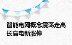 智能电网概念震荡走高 长高电新涨停