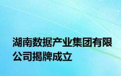 湖南数据产业集团有限公司揭牌成立