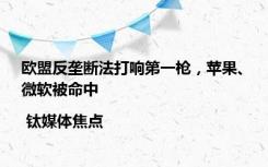 欧盟反垄断法打响第一枪，苹果、微软被命中 | 钛媒体焦点