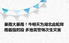 暴雨大暴雨！今明天为湖北此轮降雨最强时段 多地需警惕次生灾害