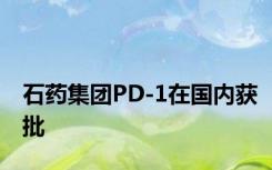 石药集团PD-1在国内获批