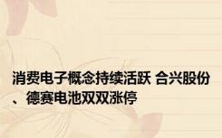 消费电子概念持续活跃 合兴股份、德赛电池双双涨停