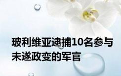 玻利维亚逮捕10名参与未遂政变的军官