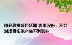 部分募投项目延期 润丰股份：不会对项目实施产生不利影响