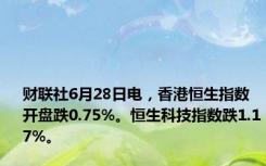 财联社6月28日电，香港恒生指数开盘跌0.75%。恒生科技指数跌1.17%。