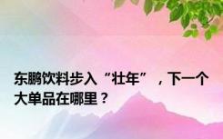 东鹏饮料步入“壮年”，下一个大单品在哪里？