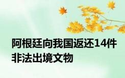 阿根廷向我国返还14件非法出境文物