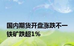 国内期货开盘涨跌不一 铁矿跌超1%