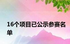 16个项目已公示参赛名单