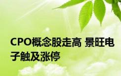 CPO概念股走高 景旺电子触及涨停