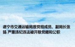 遂宁市交通运输局原党组成员、副局长张扬 严重违纪违法被开除党籍和公职