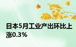 日本5月工业产出环比上涨0.3%