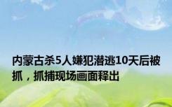 内蒙古杀5人嫌犯潜逃10天后被抓，抓捕现场画面释出