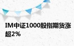 IM中证1000股指期货涨超2%