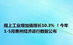 规上工业增加值增长10.3% ！今年1-5月惠州经济运行数据公布