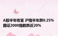 A股半年收官 沪指半年跌0.25% 国证2000指数跌近20%