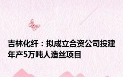 吉林化纤：拟成立合资公司投建年产5万吨人造丝项目