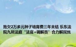 拖欠2万多元种子培育费三年未结 乐东法院九所法庭“法官+调解员”合力解民忧