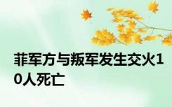 菲军方与叛军发生交火10人死亡