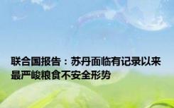 联合国报告：苏丹面临有记录以来最严峻粮食不安全形势