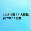 2024 中国「+ 大模型」先锋案例 TOP 10 发布