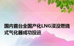 国内首台全国产化LNG浸没燃烧式气化器成功投运