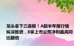 龙头拿下三连板！A股半年报行情纵深推进，8家上市公司净利最高同比翻倍