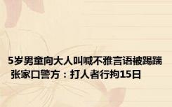 5岁男童向大人叫喊不雅言语被踢踹 张家口警方：打人者行拘15日