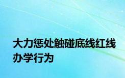 大力惩处触碰底线红线办学行为