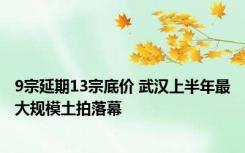 9宗延期13宗底价 武汉上半年最大规模土拍落幕