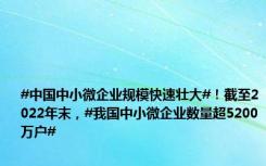 #中国中小微企业规模快速壮大#！截至2022年末，#我国中小微企业数量超5200万户#