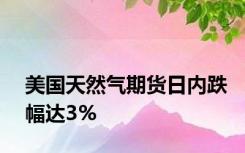 美国天然气期货日内跌幅达3%