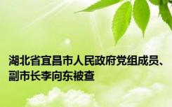 湖北省宜昌市人民政府党组成员、副市长李向东被查