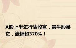 A股上半年行情收官，最牛股是它，涨幅超370%！